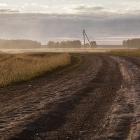 Вечерняя дорога. :: Лилия *