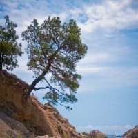 . :: Фотограф Дарья Скугарева