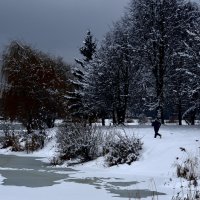 Вечерняя пробежка :: Владимир ЯЩУК