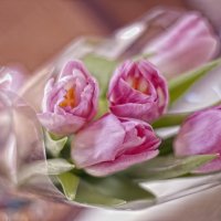 Тюльпаны :: Katerina Koroleva