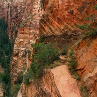 Zion Canyon :: Евгения Лысцова