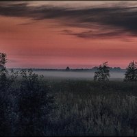 Ночью в поле... :: Роман Оливар