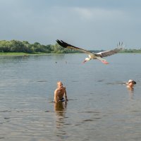 Я взлетаю, не боись :: Виктор Позняков