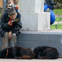 Бездомная культура :: Sergey Isakov