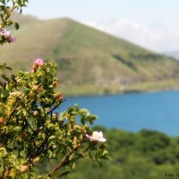 Lake Sevan :: Liana Harutyunyan