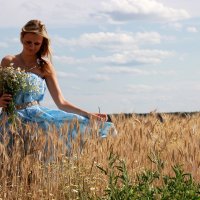 Гуляя по пшеничному полю :: Елена Сокова