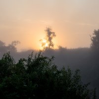 Утренний туман :: Sergey L