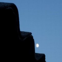 Ступени восхождения Луны :: Леонид Плыгань