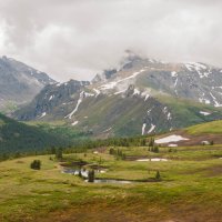 Горный пейзаж :: Марина Напылова