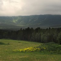 *** :: Евгения Павлова