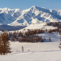 Северо - Чуйский хребет :: Галина Шепелева