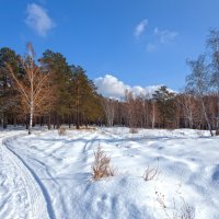 Начало марта :: Анатолий Иргл