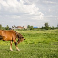 Сельчанка :: Татьяна Титова