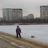 Дама с собачкой :: Андрей Лукьянов