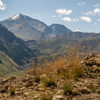 Здесь воздух превращает кровь в шампанское... :: ФотоЛюбка *