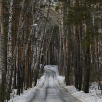 За поворотом. :: Сергей Адигамов