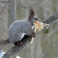 Всё для потомства :: Ната Волга