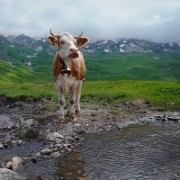 дивлюсь я на небо, да думку гадаю... :: Elena Wymann