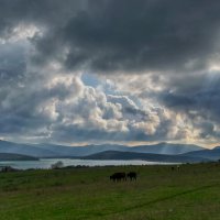 У Чернореченского водохранилища :: Игорь Кузьмин