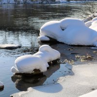 Гости с озера Лох-Несс :: Ольга 