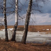 Мартовский денек :: Александр Зиновьев