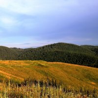 Челябинская область :: Горкун Ольга Николаевна 