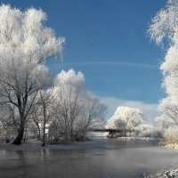 Зимняя сказка :: Роман Савоцкий