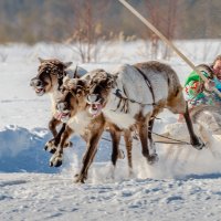 Быстрей, еще быстрей! :: Георгий Кулаковский