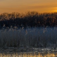 Вечер у воды. :: Владимир M