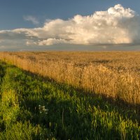 Летними дорогами :: Лариса Березуцкая