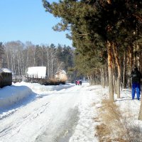 Воскресные прогулки . :: Мила Бовкун