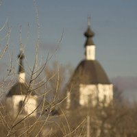 Грачей не хватает... :: владимир 