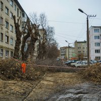 Март. Обрезают тополя. И клёны тоже. :: Михаил Полыгалов