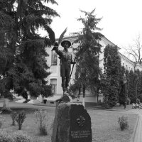 Памятник   пластунам   в   Ивано - Франковске :: Андрей  Васильевич Коляскин