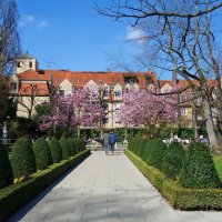 Весна в городе...Augsburg :: Galina Dzubina