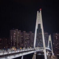 Москва. Мякинино. Пешеходный мост. :: Владимир Безбородов