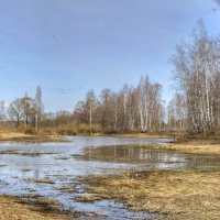 Пригожий весенний денек :: Константин 