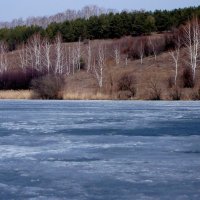 8 апреля. Набухший лёд. :: Валерия  Полещикова 