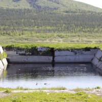 Забытый бассейн :: Виктория Браун