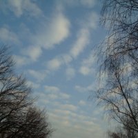 Апрельское небо :: марина ковшова 