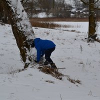 Зимой так весело.. :: zoja 