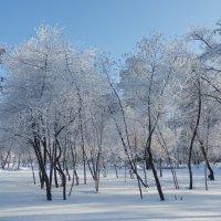 Скоро весна:) :: Владимир Звягин