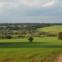 лето :: Александр Попков