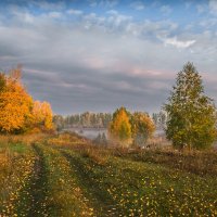 == :: Александр Тулупов