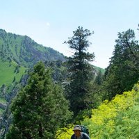 ДОЛИНА КУЛОСЬИ, всё выше и выше. :: Виктор Осипчук