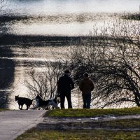 Прогулка в парке. :: Владимир Безбородов