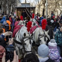 Конка. Пользуется повышенным спросом в наши дни ... :: Сергей Козырев