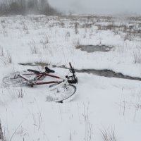 проверка мест прилета и гнездования :: Михаил Жуковский