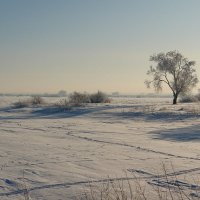 Зимний пейзаж :: Sergey 