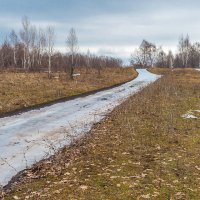 Снежная дорога :: Любовь Потеряхина